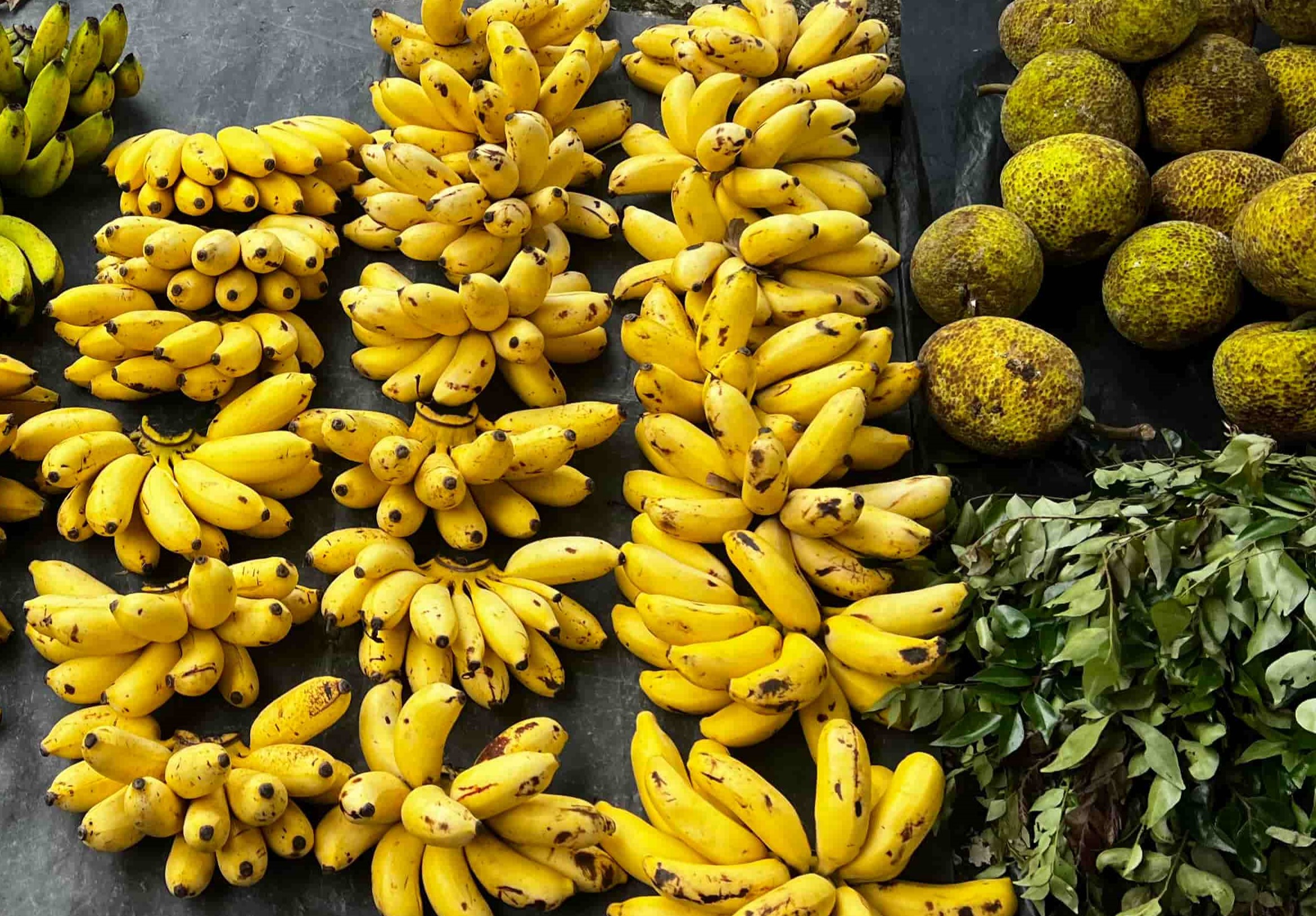 Kandy Rejser til Sri Lanka - Rejser med privat chauffør - rundrejse i Sri Lanka