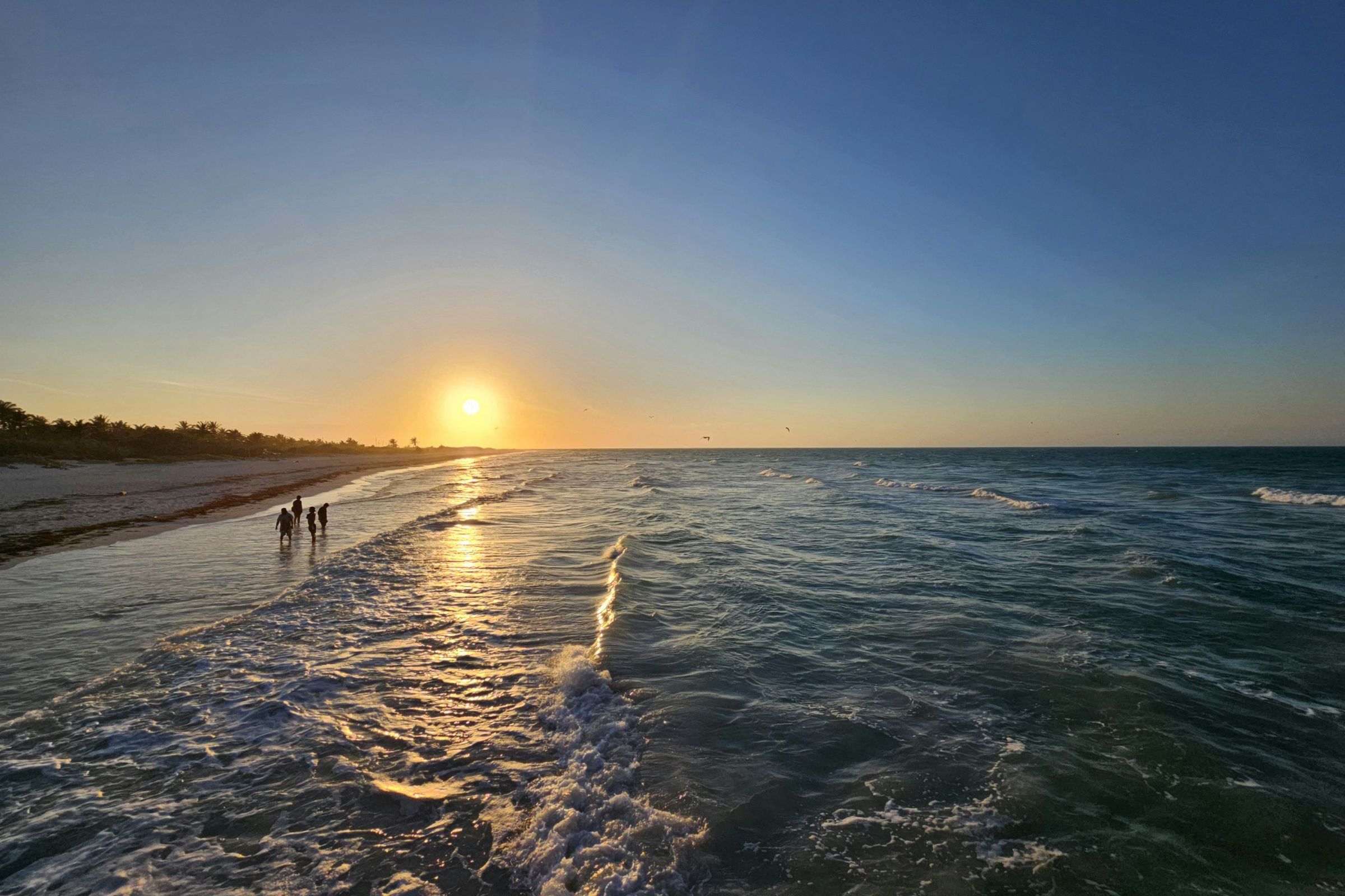 Rejser til El Cuyo i Mexico Rejser til El Cuyo i Mexico