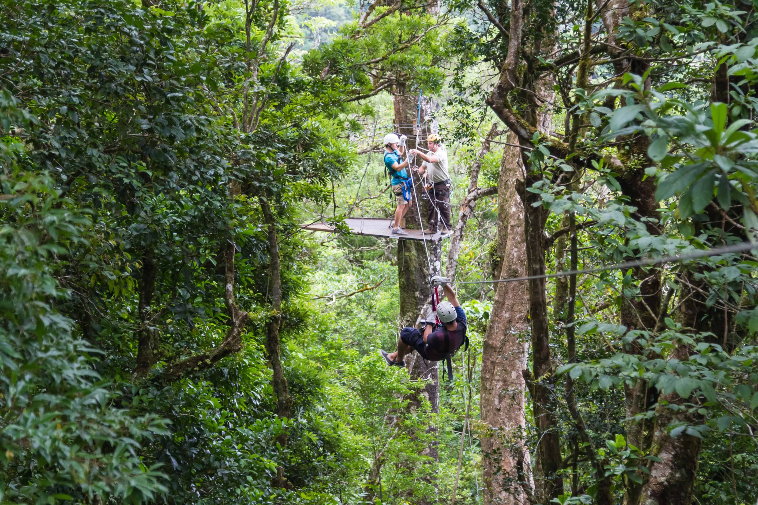 Rejser til Costa Rica, Rejser til Monteverde, Rejser til Arenal, Rejser til Tamarindo, Zipline i Costa Rica