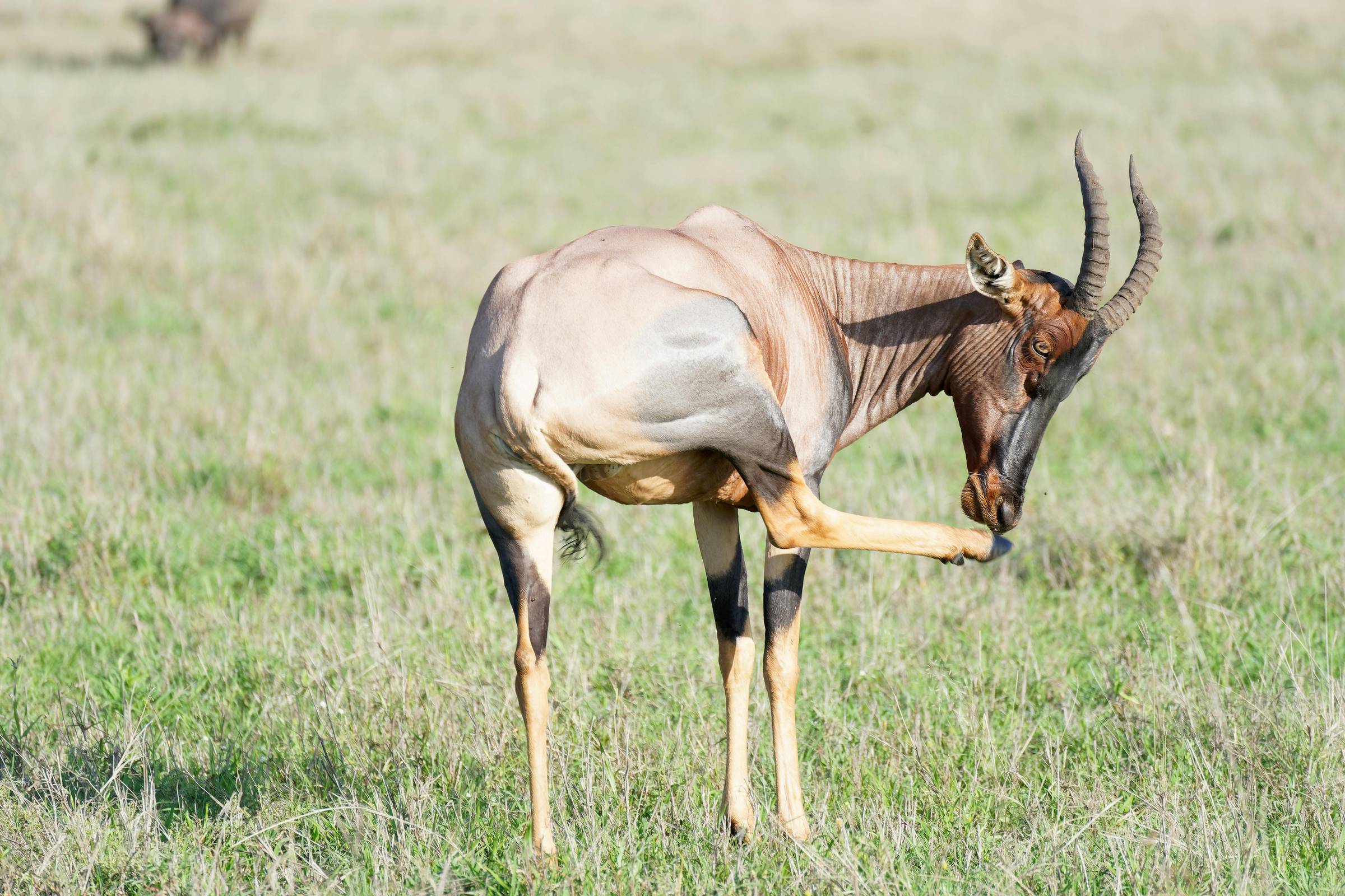 pexels-eastland-adventures-3021070-19375286 pexels-eastland-adventures-3021070-19375286