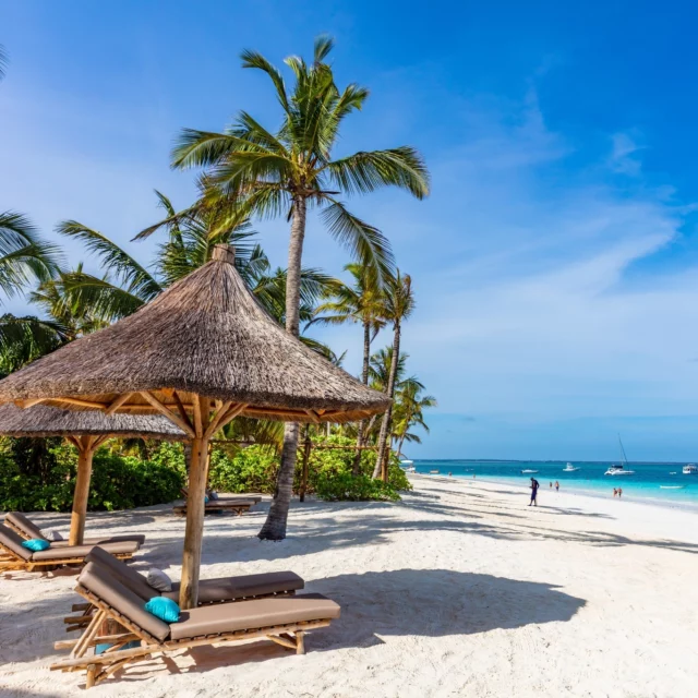 𝗩𝗼𝗿𝗲𝘀 𝘀𝗽𝗹𝗶𝗻𝘁𝗲𝗿𝗻𝘆𝗲 𝗱𝗲𝘀𝘁𝗶𝗻𝗮𝘁𝗶𝗼𝗻 𝗲𝗿 𝗮̊𝗯𝗲𝗻!✨
Du kan nu rejse med os til... 🥁🥁

𝗧𝗔𝗡𝗭𝗔𝗡𝗜𝗔 & 𝗭𝗔𝗡𝗭𝗜𝗕𝗔𝗥!

I har ønsket flere eventyrlige destinationer – og vi har lyttet! Derfor kan du nu opleve et af verdens bedste safarilande med C&C Travel!

Glæd dig bl.a. til...
🐘 Uforglemmelige safarier blandt Serengetis vilde dyreliv
🌄 Ikoniske oplevelser som Ngorongoro-krateret
🏔 Kilimanjaros sneklædte tinder
🏝️ Zanzibars drømmestrande med krystalklart vand og svajende palmer

Er du klar til dit livs safari-eventyr? 🦓🦁🐒

Læs alt om Tanzania og Zanzibar på vores hjemmeside!

Kontakt os, hvis du vil vide mere eller dele dine drømme om Tanzania!
📞 3315 3322
📧 cctravel@cctravel.dk

 #cctravel #cctraveldanmark #rejseinspiration #oplevverden #rejsermedetmenneskeligtansigt #rejsertiltanzania #rejsertilzanzibar #tanzania #zanzibar #nydestination