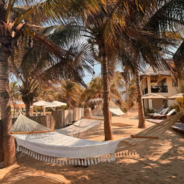 𝗗𝗿ø𝗺 𝗱𝗶𝗴 𝘃æ𝗸 𝘁𝗶𝗹 𝗠𝗲𝘅𝗶𝗰𝗼𝘀 𝘃𝗶𝗱𝘂𝗻𝗱𝗲𝗿𝗹𝗶𝗴𝗲 𝗸𝘆𝘀𝘁𝗲𝗿! 🏖️
Er du til vilde bølger og autentiske oplevelser – eller rolige palmestrande og farverig kultur? Mexico har det hele!

Fra vest mod øst finder du et sandt strandparadis med alt fra surfing i det rå Stillehav til øhop i det Caribiske blå 💙

Her får du et smugkig på begge kyster – hvilken frister dig mest?

𝗦𝘁𝗶𝗹𝗹𝗲𝗵𝗮𝘃𝘀𝗸𝘆𝘀𝘁𝗲𝗻: 𝗥𝗼, 𝗻𝗮𝘁𝘂𝗿 𝗼𝗴 𝗱𝗲𝘁 æ𝗴𝘁𝗲 𝗠𝗲𝘅𝗶𝗰𝗼
🏖 Upoleret skønhed, klipper og brede strande, som du har mere for dig selv
🌅 Fantastisk gastronomi og enestående solnedgange
🏄‍♀️ Surfing i det rå Stillehav og afslapning i de rolige bugter

𝗗𝗲𝗻 𝗰𝗮𝗿𝗶𝗯𝗶𝘀𝗸𝗲 𝗸𝘆𝘀𝘁: Ø𝗵𝗼𝗽, 𝗸𝗼𝗿𝗮𝗹𝗿𝗲𝘃 𝗼𝗴 𝗳𝗮𝗿𝘃𝗲𝗿𝗶𝗴 𝗸𝘂𝗹𝘁𝘂𝗿
👨‍👩‍👧‍👦 Postkortperfekte og børnevenlige strande
🐠 Verdens næststørste koralrev, cenoter og mayaruiner
🏝 Bohemestemning, livlige byer og bountyøer

Ved du stadig ikke, hvor du helst vil hen?
Læs vores guide til Mexicos kyster og find din drømmestrand 👉 https://bit.ly/43Z5GR2

Skriv hvilken kyst der frister dig mest i kommentarfeltet – vi elsker at høre fra dig! 😃

#cctravel #cctraveldanmark #rejseinspiration #oplevverden #mexico #rejsertilmexico #stillehavskyst #caribiskekyst