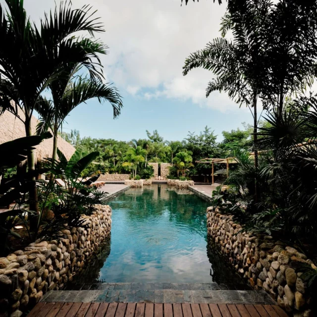 𝗕𝗮𝗿𝗳𝗼𝗱𝘀𝗹𝘂𝗸𝘀𝘂𝘀 𝗶 𝗖𝗼𝗹𝗼𝗺𝗯𝗶𝗮 🌴
Forestil dig at bo med fødderne i sandet, havets brusen i ørerne og bjergtinder i horisonten. Sådan er det på 𝗡𝗮𝗶𝗼 𝗛𝗼𝘁𝗲𝗹 & 𝗩𝗶𝗹𝗹𝗮𝘀 i Palomino, Colombia – vores nyeste fund langs den Caribiske kyst 😍

Glæd dig til...
🌄 At bo direkte på stranden med bjergene i ryggen
⭐ At spise mad, som Michelin-guiden har godkendt med et nik
🌴 At sove i stilfulde villaer omkranset af palmer
🏖 At mærke barfodsluksus og havbrise i perfekt balance

“𝘌𝘵 𝘢𝘧 𝘥𝘦 𝘴𝘮𝘶𝘬𝘬𝘦𝘴𝘵𝘦 𝘰𝘨 𝘮𝘦𝘴𝘵 𝘳𝘰𝘭𝘪𝘨𝘦 𝘴𝘵𝘦𝘥𝘦𝘳, 𝘫𝘦𝘨 𝘩𝘢𝘳 𝘣𝘦𝘴ø𝘨𝘵 𝘪 𝘊𝘰𝘭𝘰𝘮𝘣𝘪𝘢.” – Morten, vores Colombia-ekspert

Kunne Naio Hotel & Villas være et hotel for dig? 😊

#cctravel #cctraveldanmark #rejsertilcolombia #colombia #palomino #naiohotel #rejseinspiration #skræddersyederejser