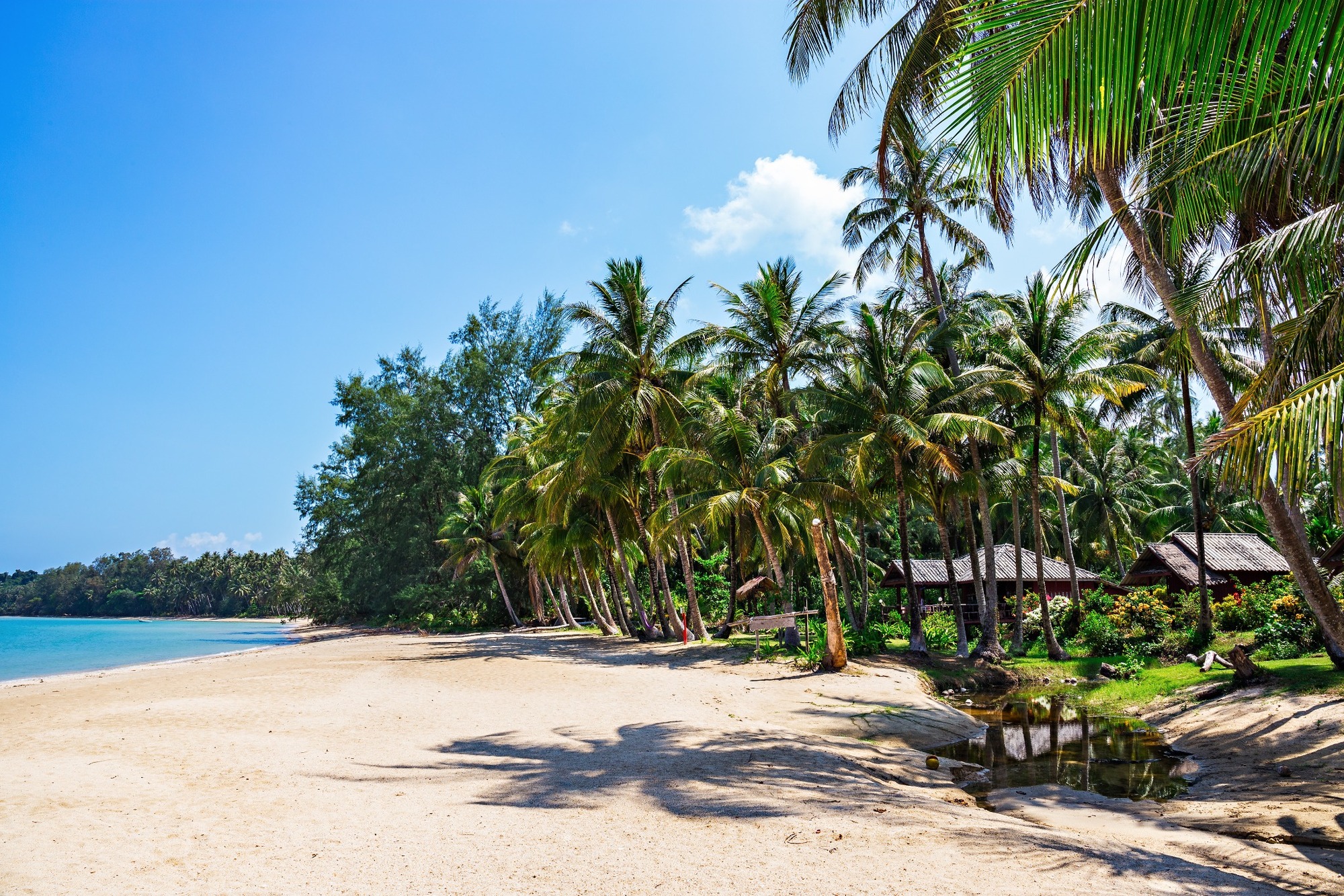 Rejser til Koh Chang - fantastisk natur og strand