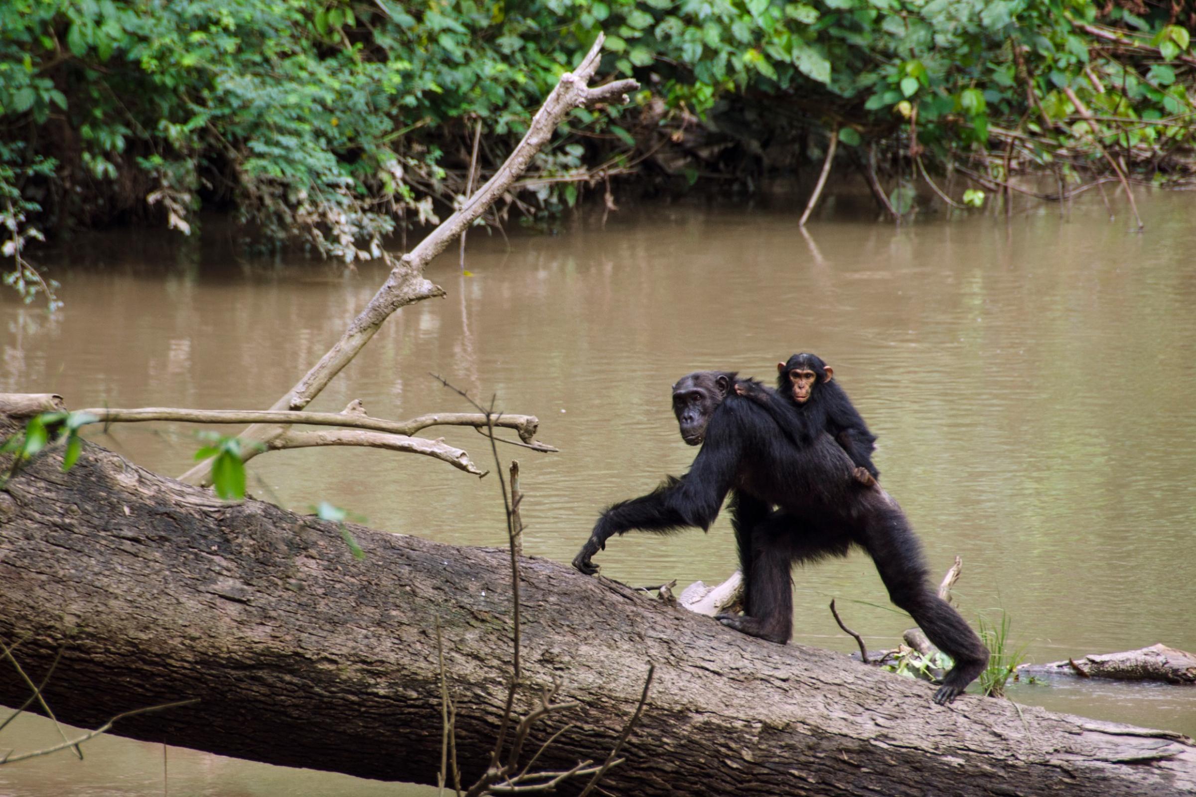 shutterstock_1067027648_web shutterstock_1067027648_web