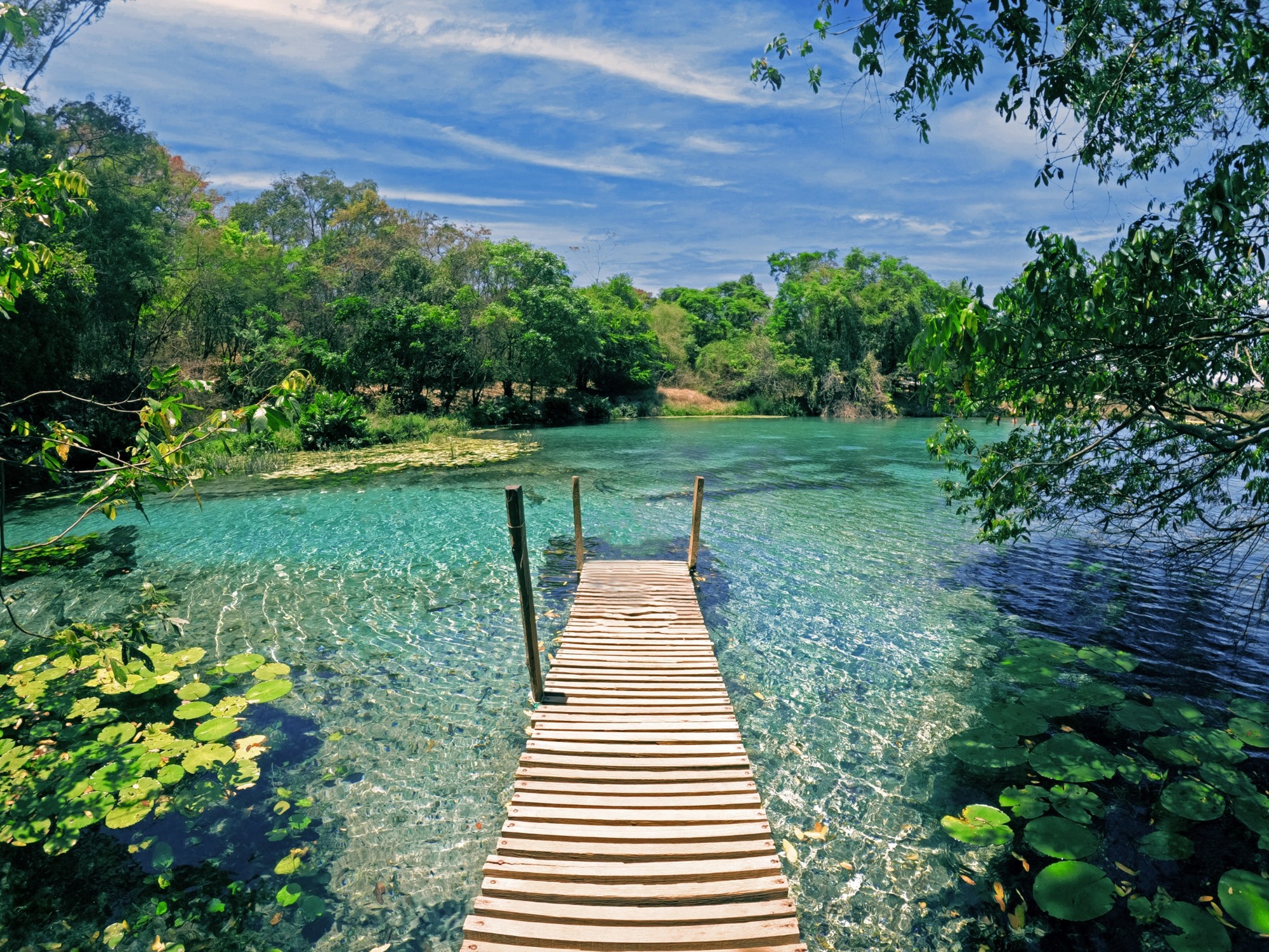 shutterstock_2112752663_2000px shutterstock_2112752663_2000px