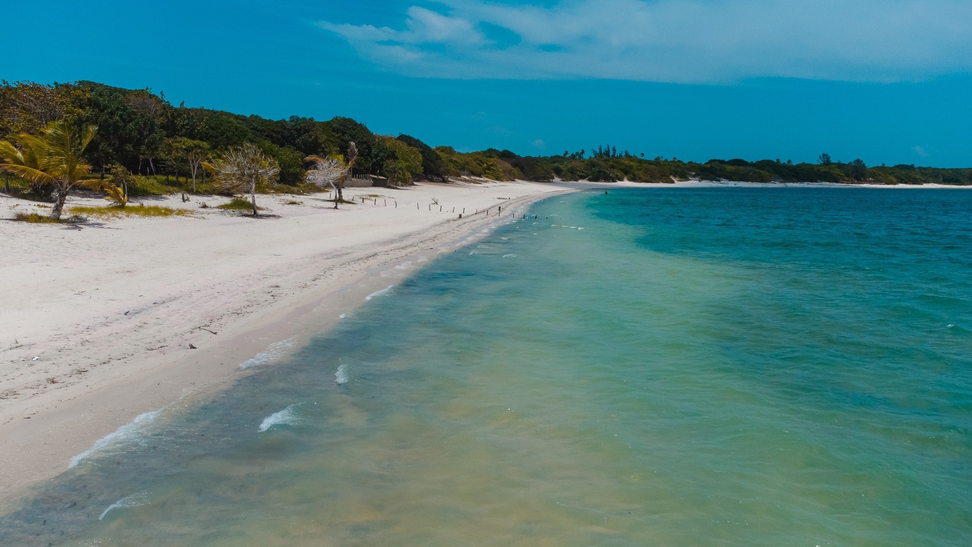 Rejser til Jericoacoara i Brasilien Rejser til Jericoacoara i Brasilien