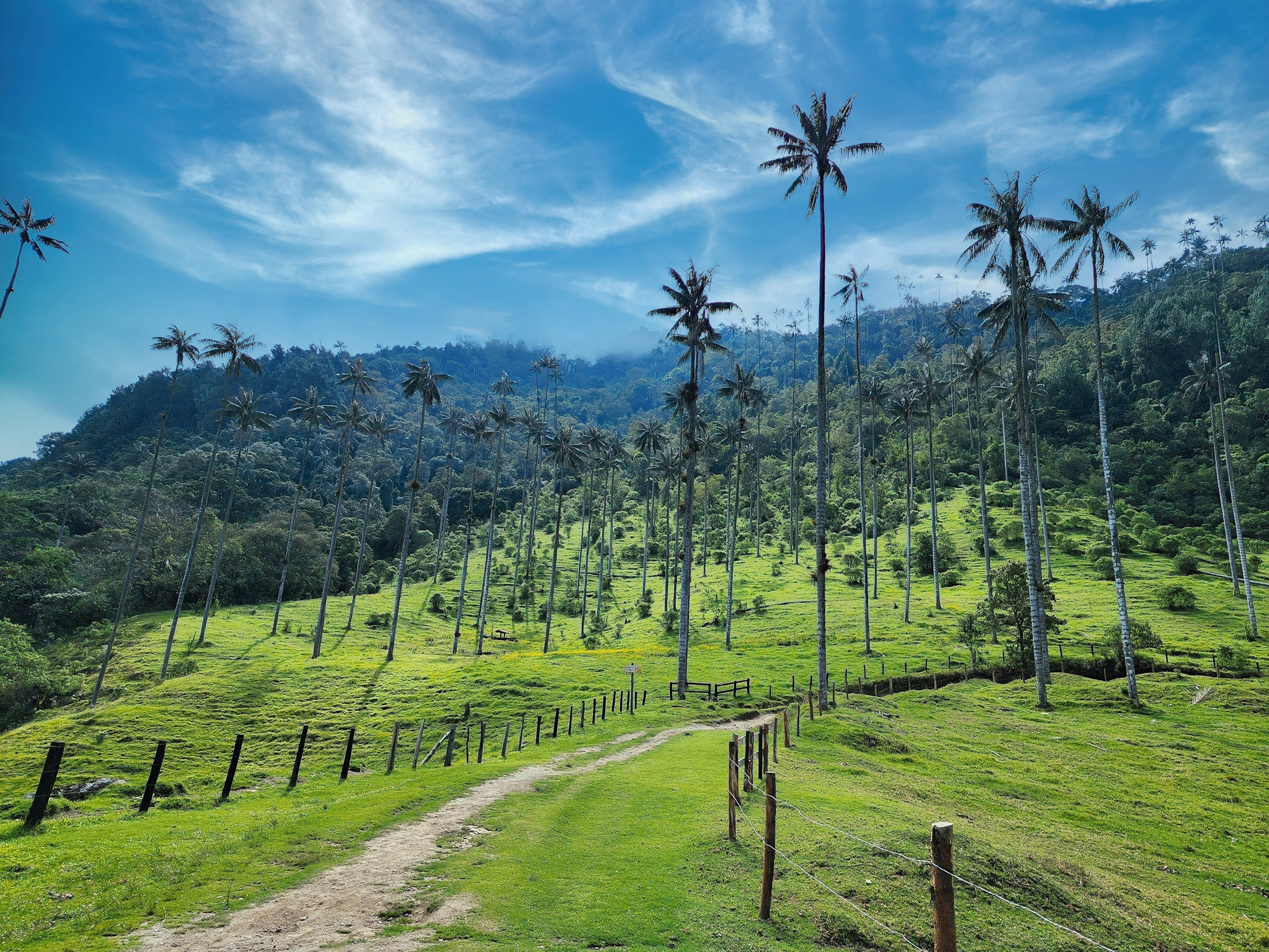 Colombia - oplev Zona Cafetera