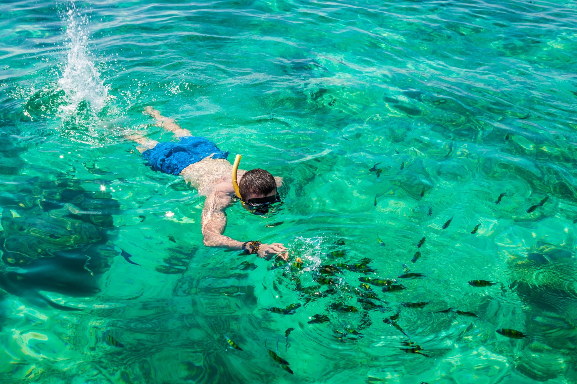 Rejser til Koh Jum i Thailand