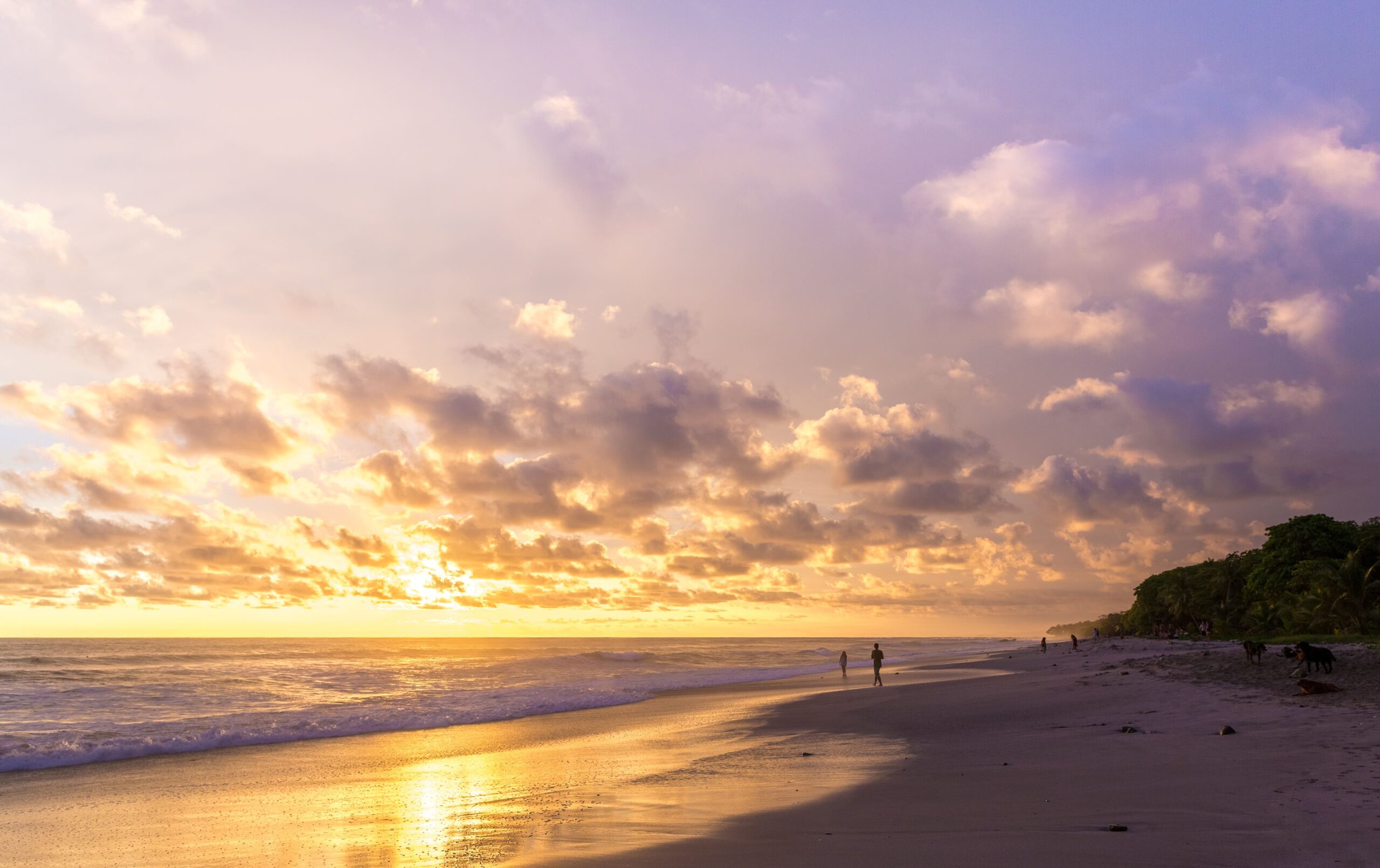 Rejser til Costa Rica, Rejser til Playa Tamarindo, Rejser til Tamarindo