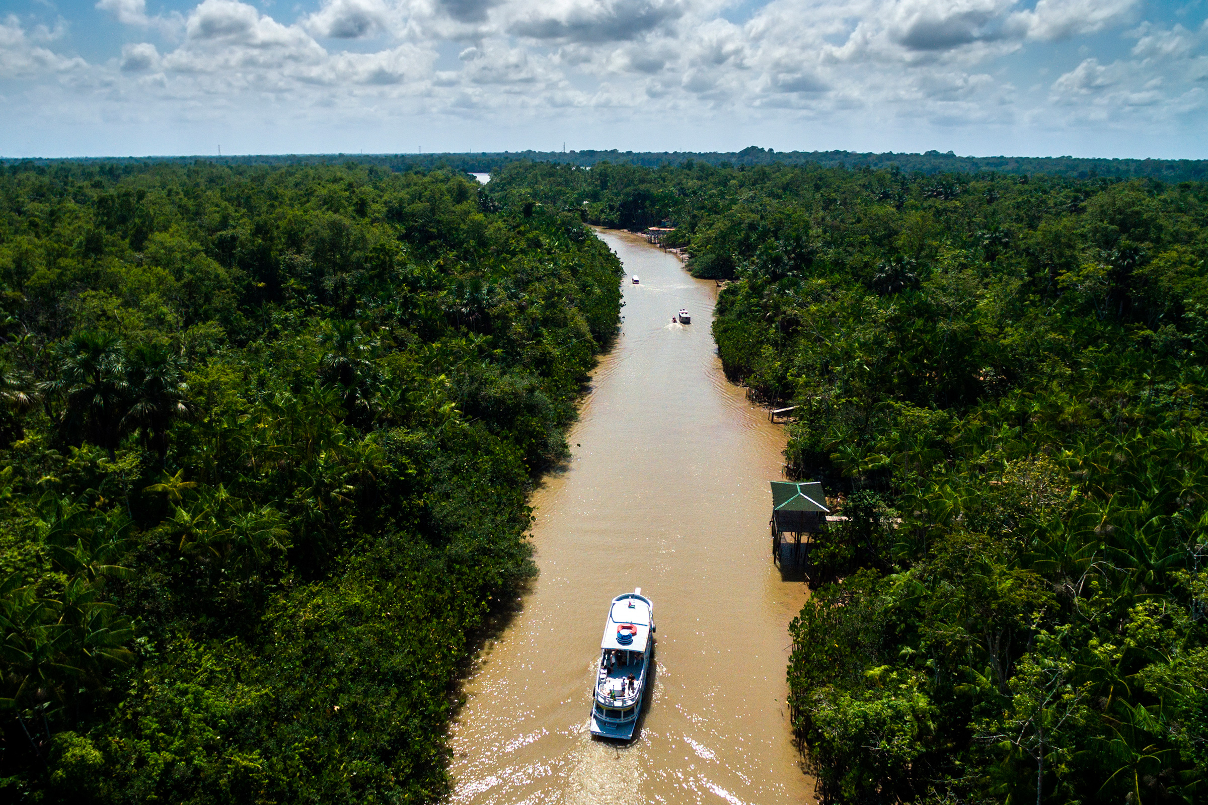 Rejser til Amazonas i Brasilien Rejser til Amazonas i Brasilien