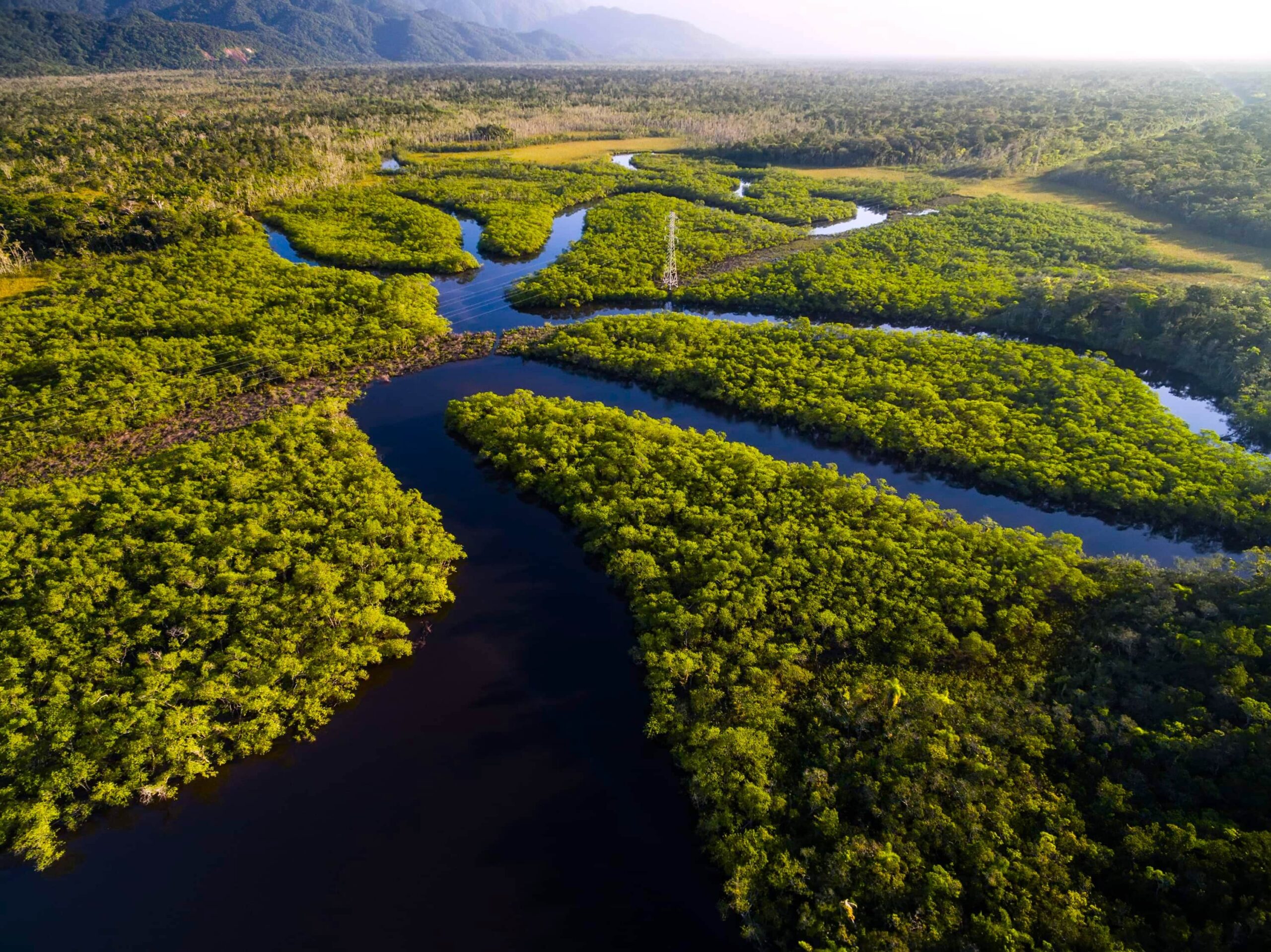 Amazonas Rejser til Brasilien