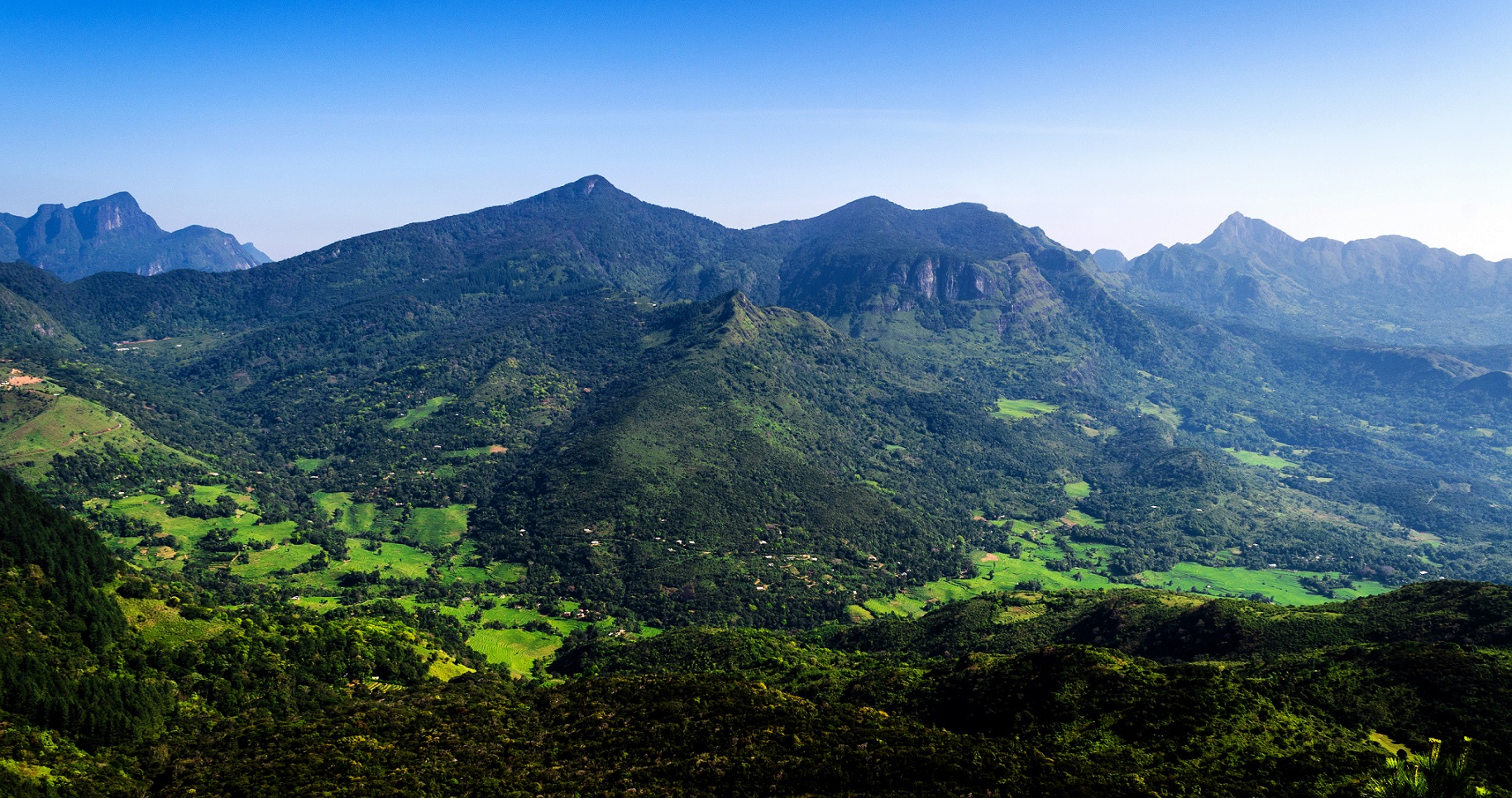 Rejser til Sri Lanka Matale Knuckles Mountains