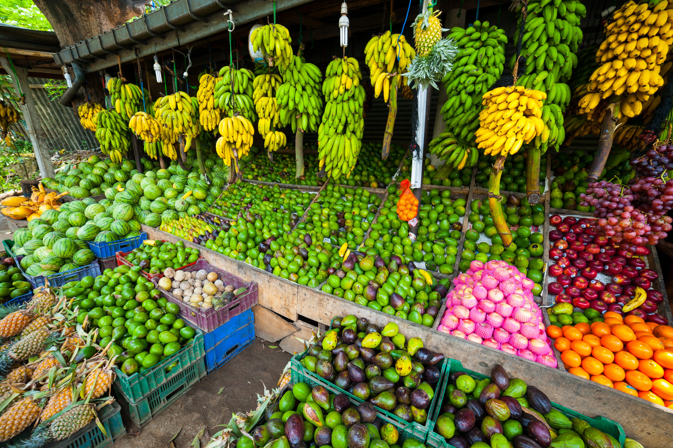 tropical fruits in outdoor market in Sri-Lanka