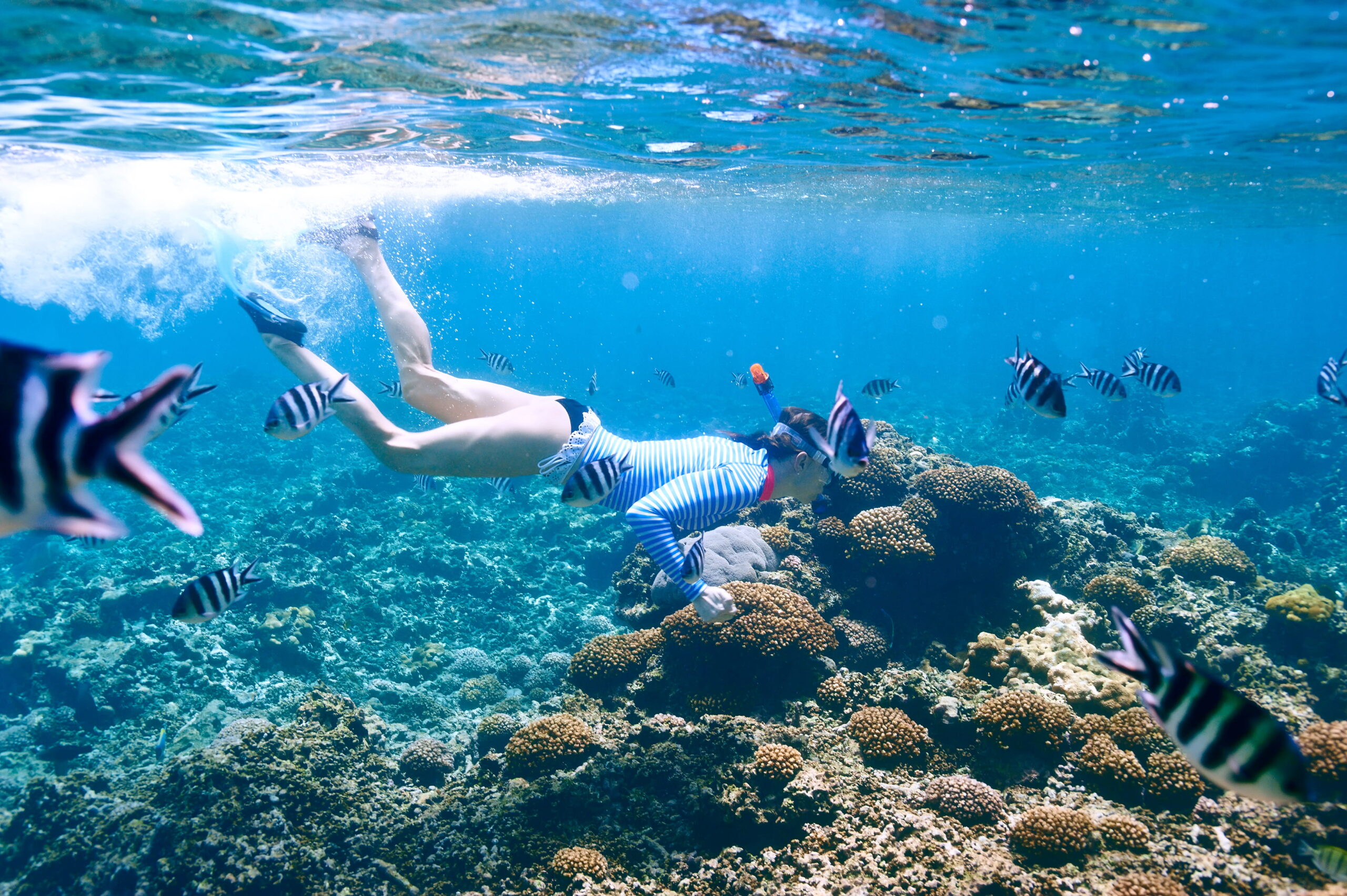 Snorkeling Rejser til Thailand, Rejser til Krabi