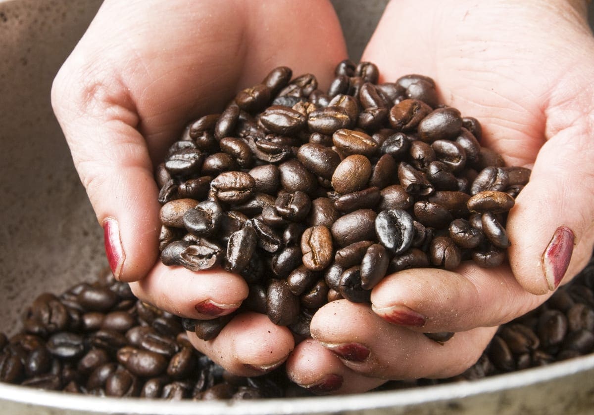 Færdigristede kaffebønder, som vi kender dem