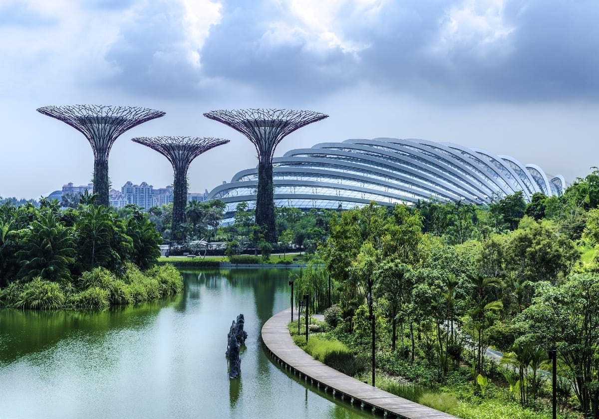 Singapores skægge supertræer