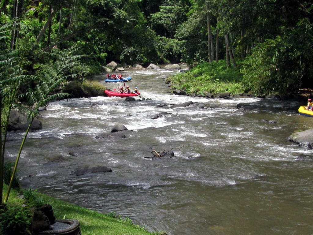 River rafting pÃ¥ Ayung floden