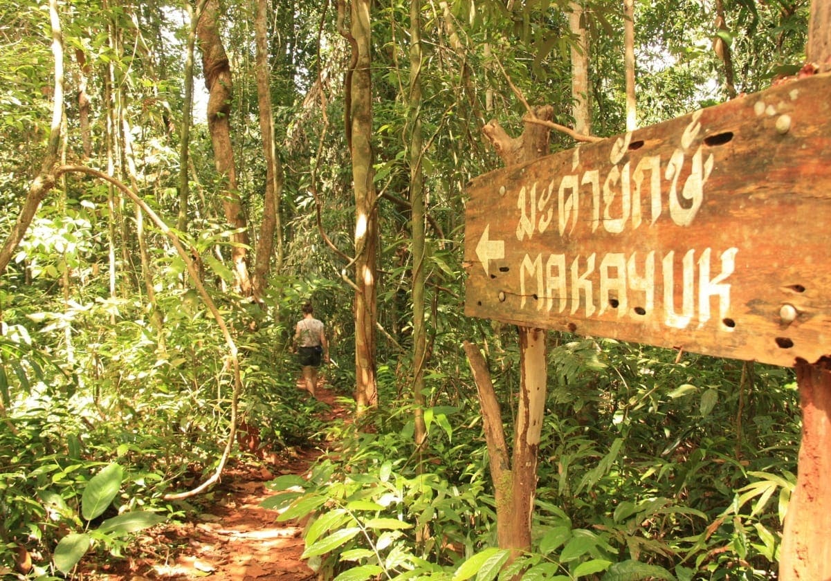 90% af Koh Kood er dækket af jungle!