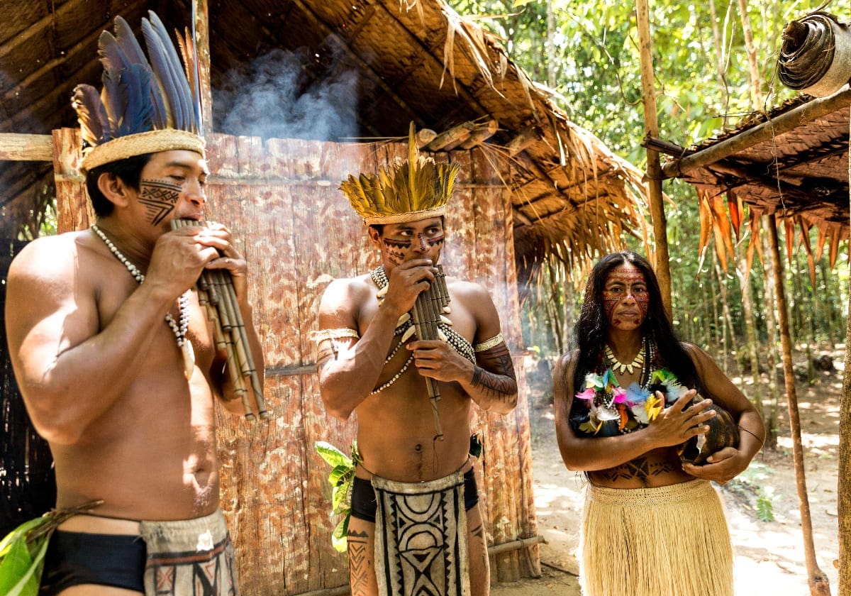 Indfødte der bor i regnskoven Indfødte der bor i regnskoven