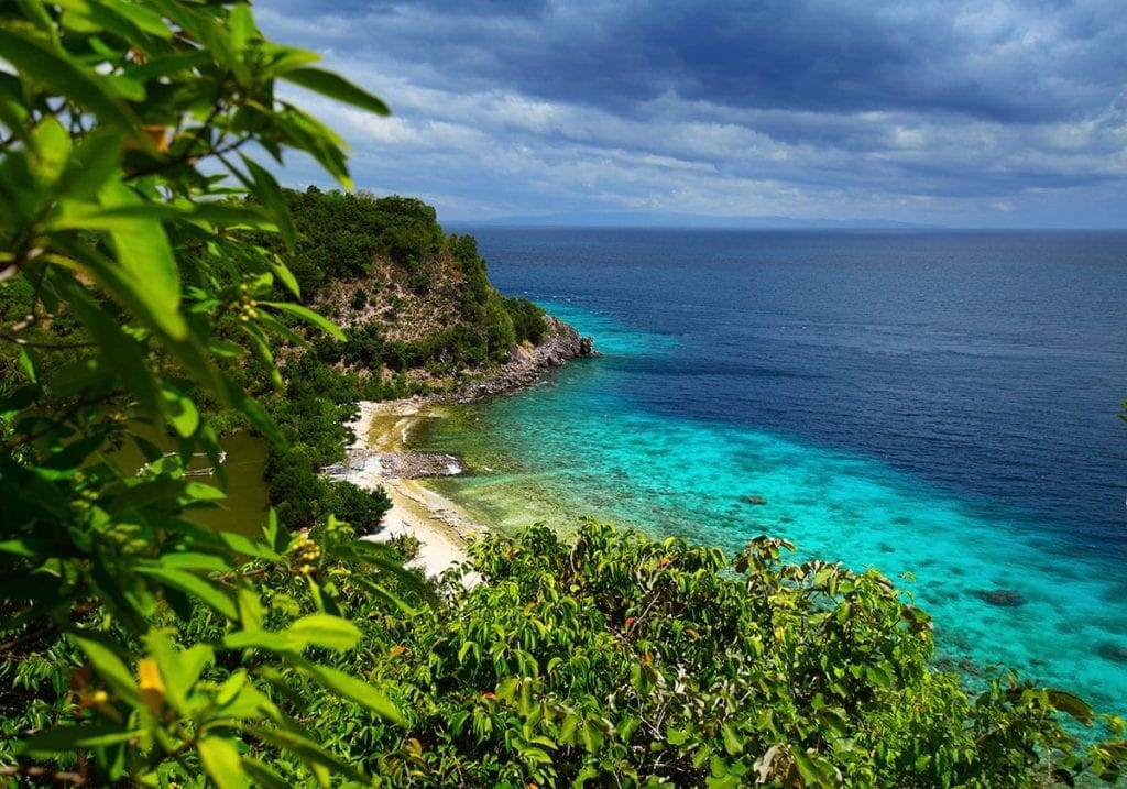 Smukke Apo Island