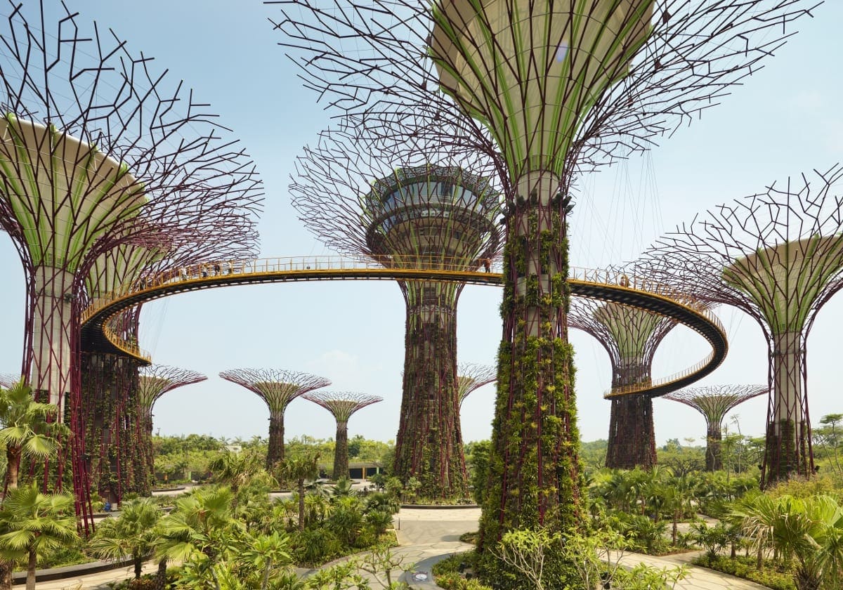 Gardens by the bay