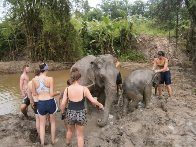 Tur til elefantparken