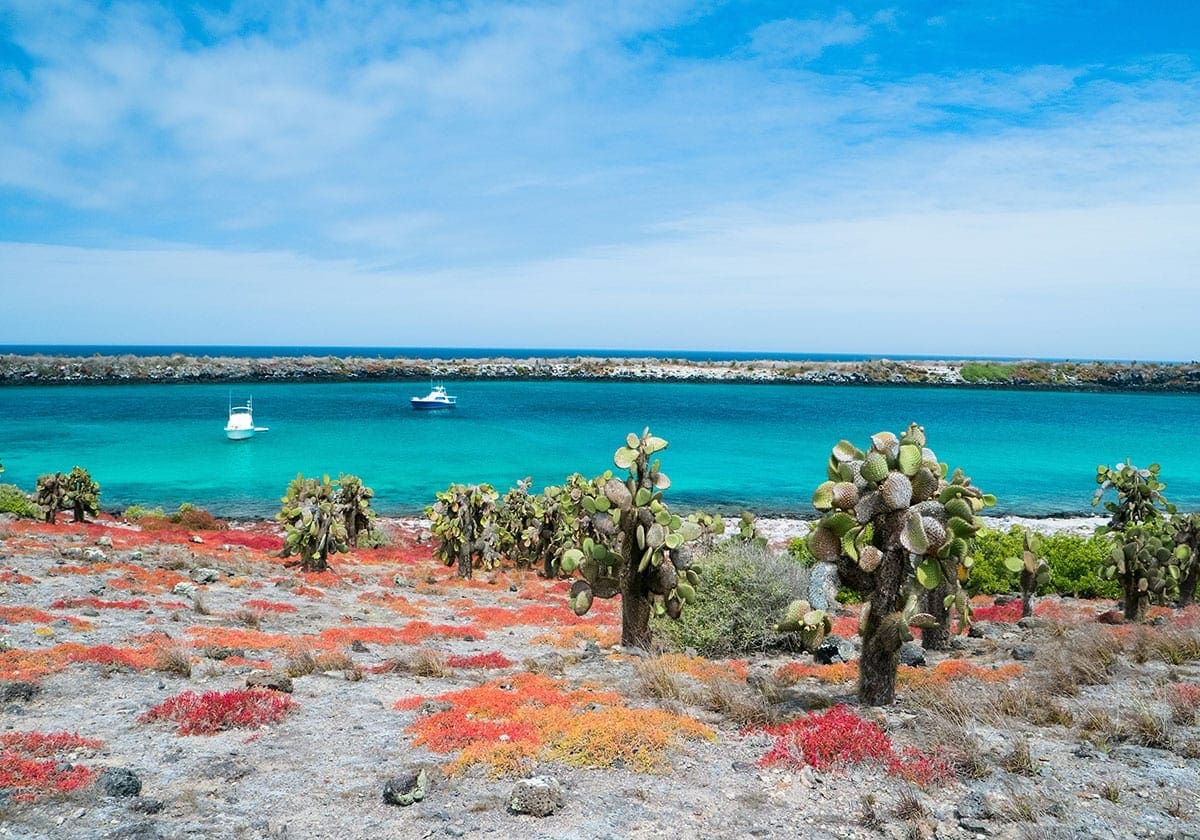 South Plaza Island South Plaza Island