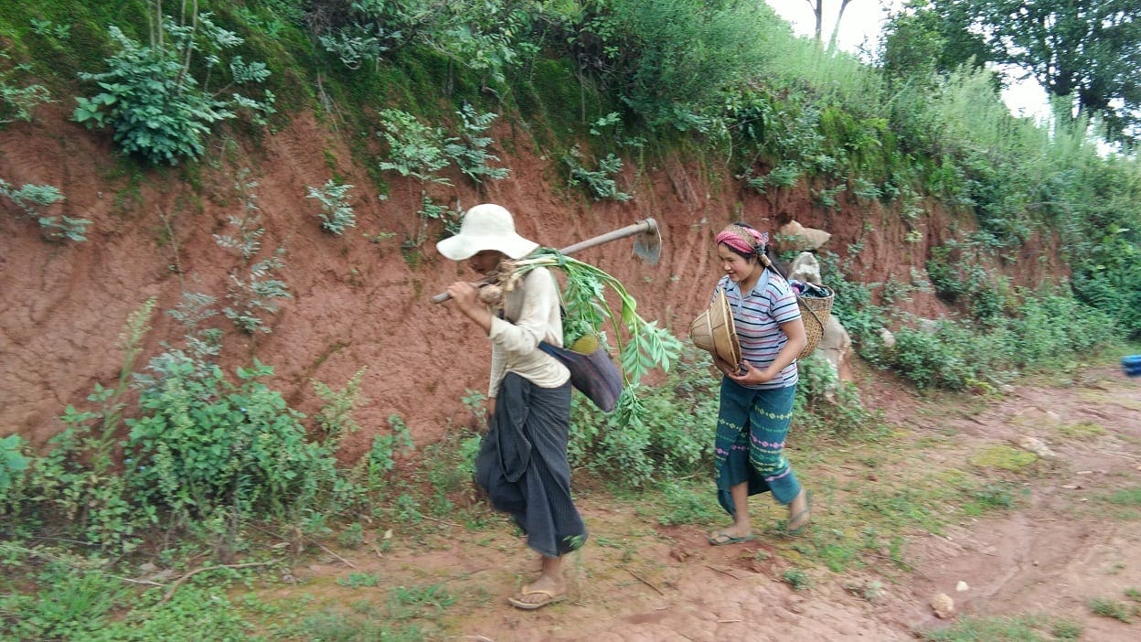 Lokale burmesere