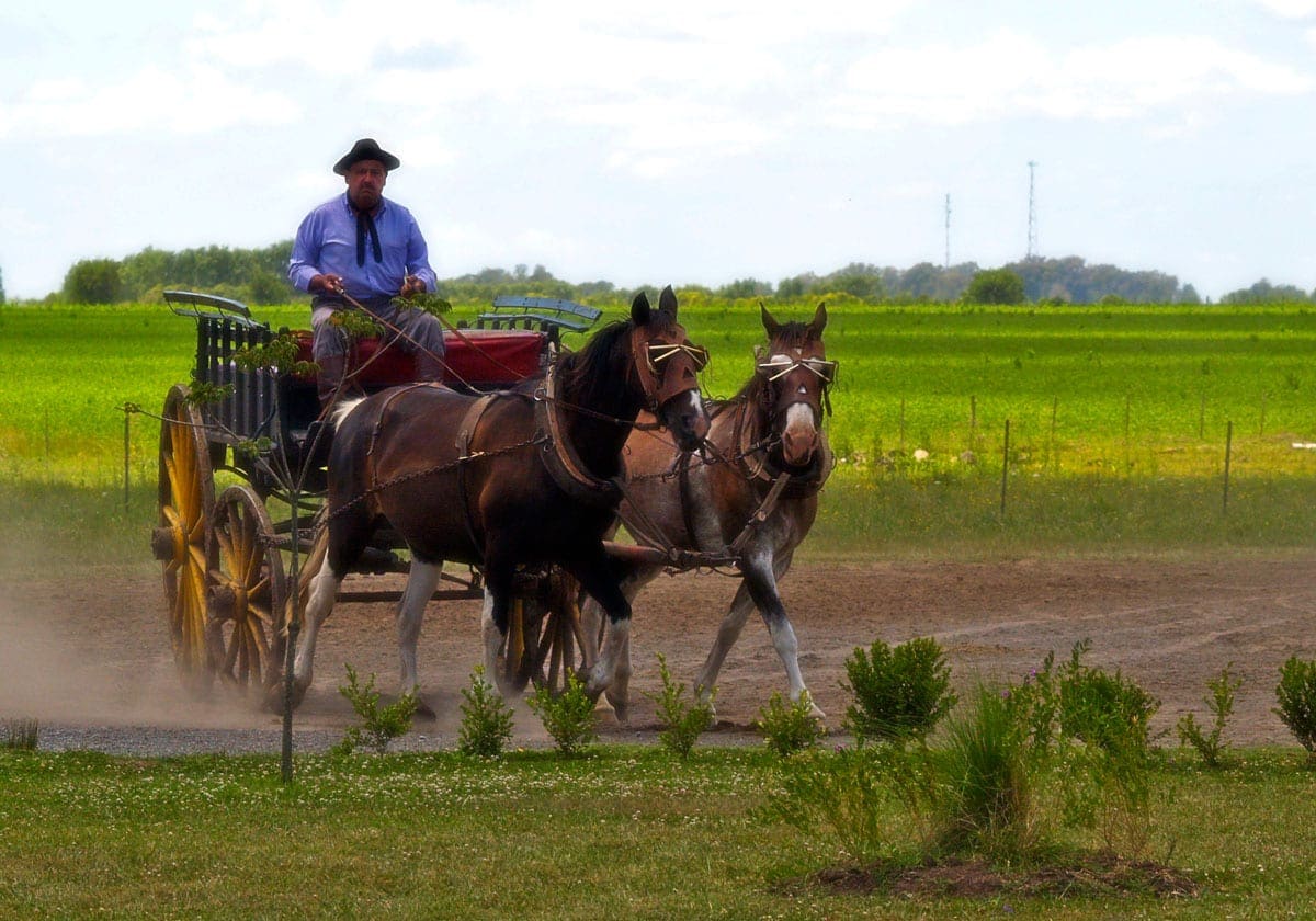 Hestevogn på den argentinske pampas