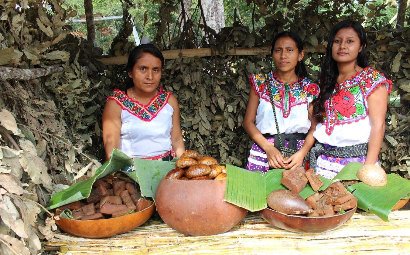 Kvinder i Oaxaca