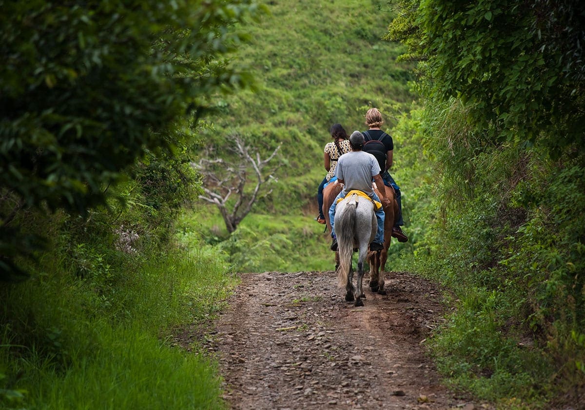 MÃ¥ske skal du se Monteverde fra hesteryg?