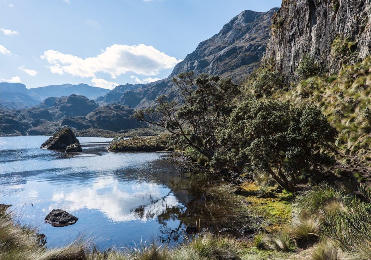 Tag måske på udflugt til Cajas Nationalpark