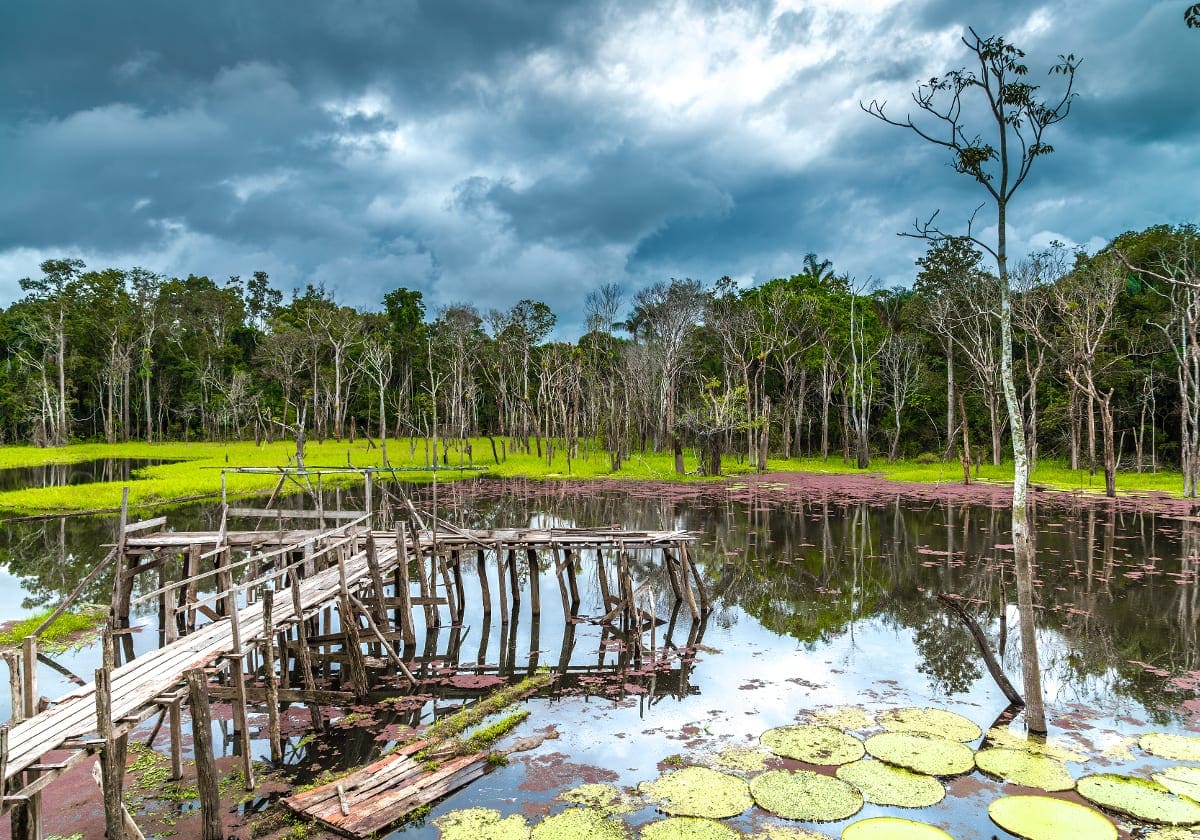 Pantanals vådområde