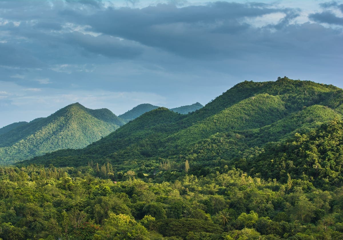 Smuk natur i Khao Yai Nationalpark