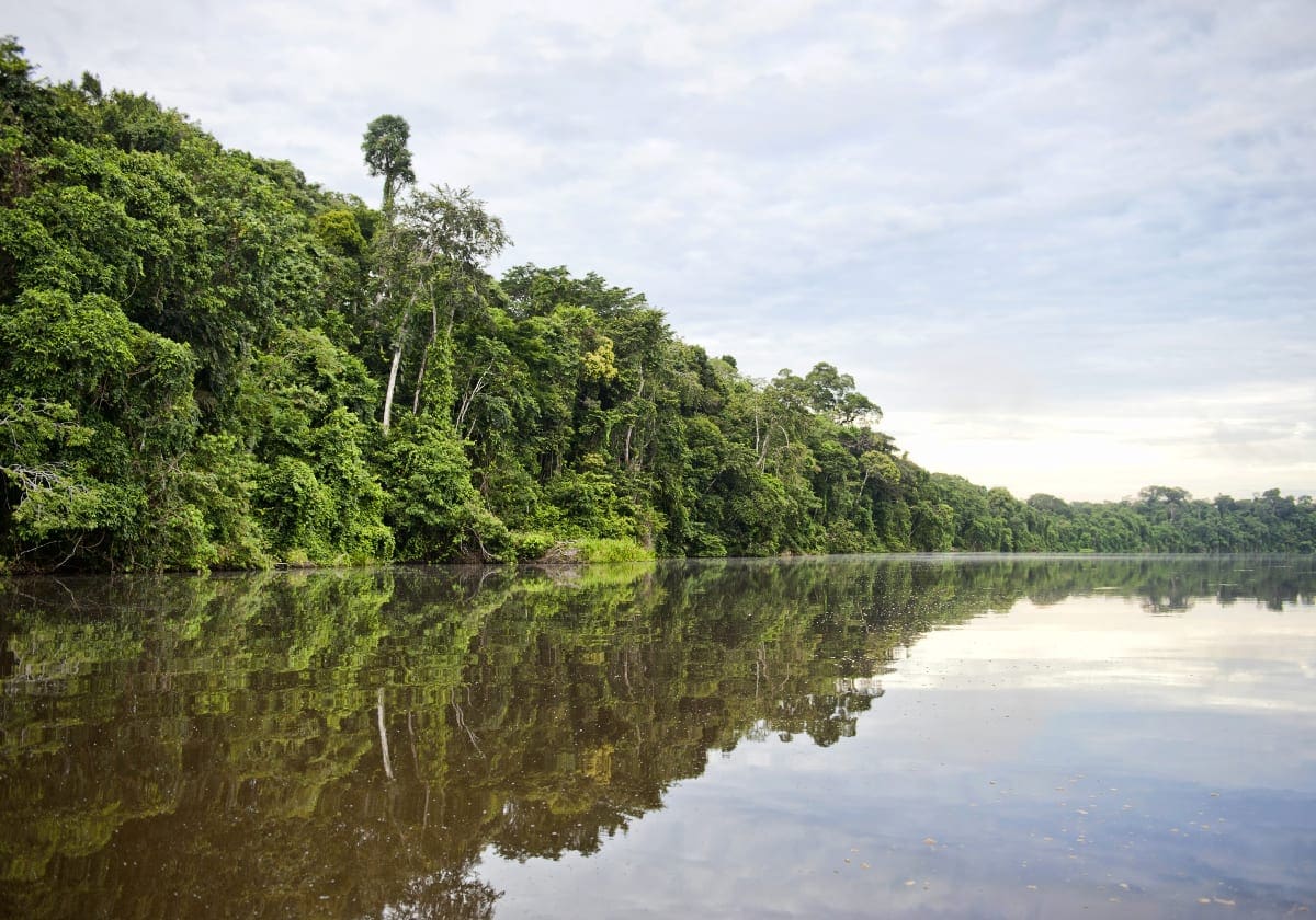 Tag på opdagelse i Amazonas