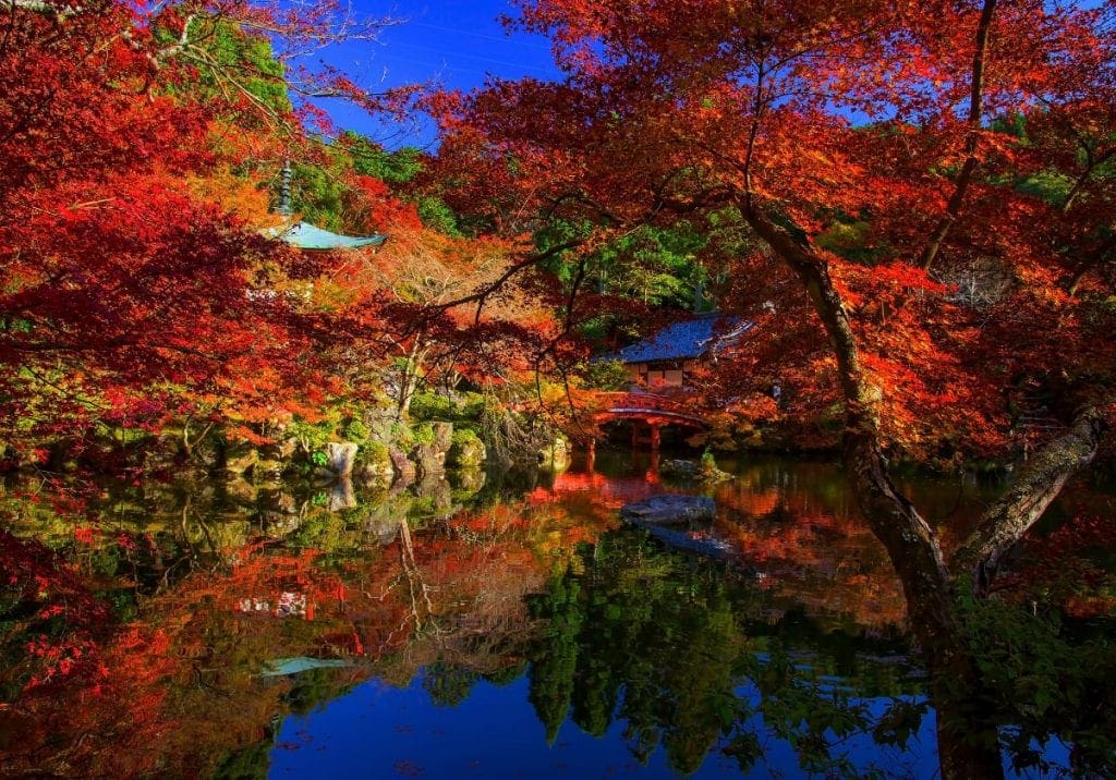 Kyoto iklædt efterårets smukke farver