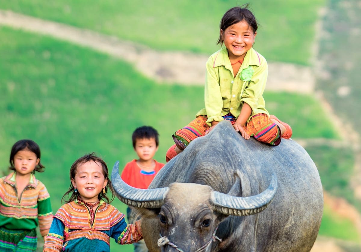 Børn og vandbøffel i Mai Chau