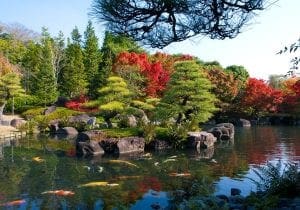 Efterårsfarver i Koko-en parken