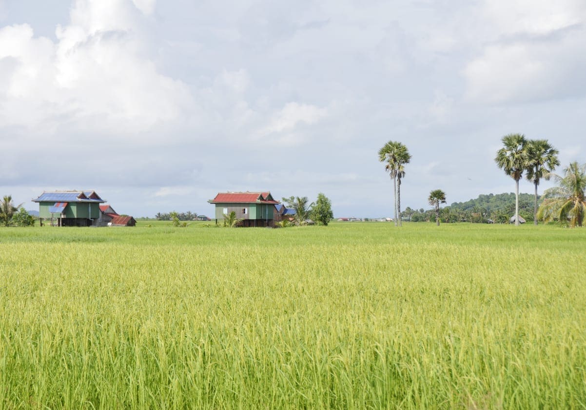 Et typisk billede af hvordan det ser ud på landet udenfor Battambang