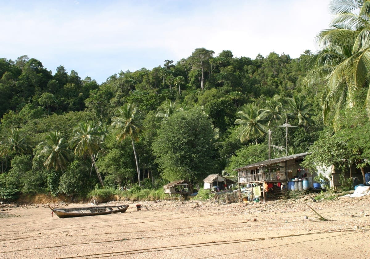 Private hytter i udkanten af junglen