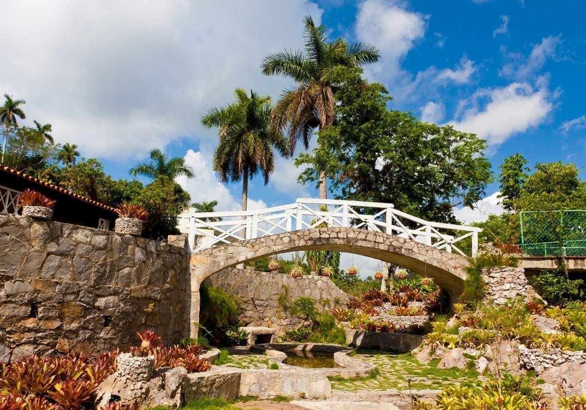 Hyggelig, lille bro i OrkidÃ©parken