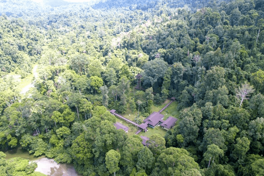 Kawag Danum Rainforest Lodge