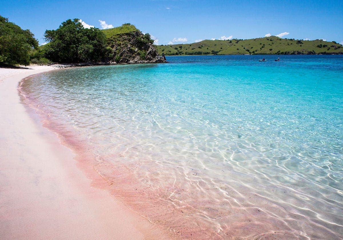 Den pink strand pÃ¥ Rinca Island