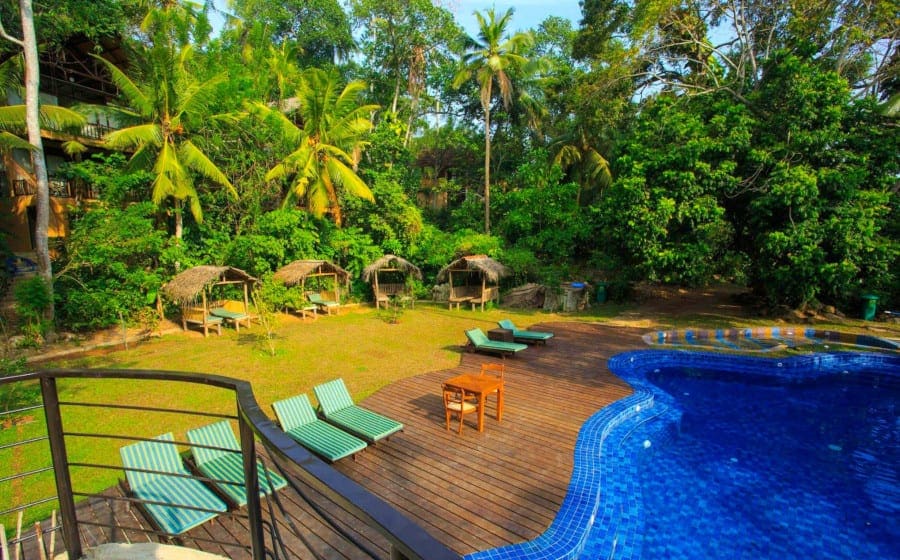 Den dejlige pool i jungleagtige omgivelser