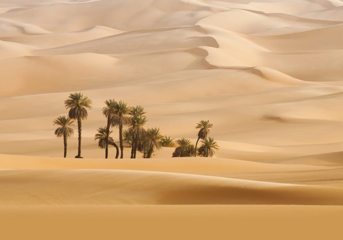 Ørkenen uden for Dubai