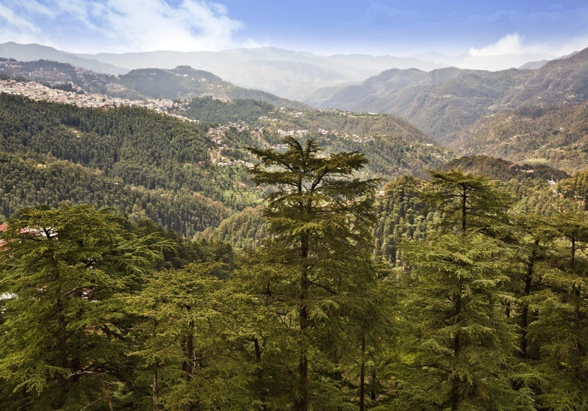 Natur omkring Shimla