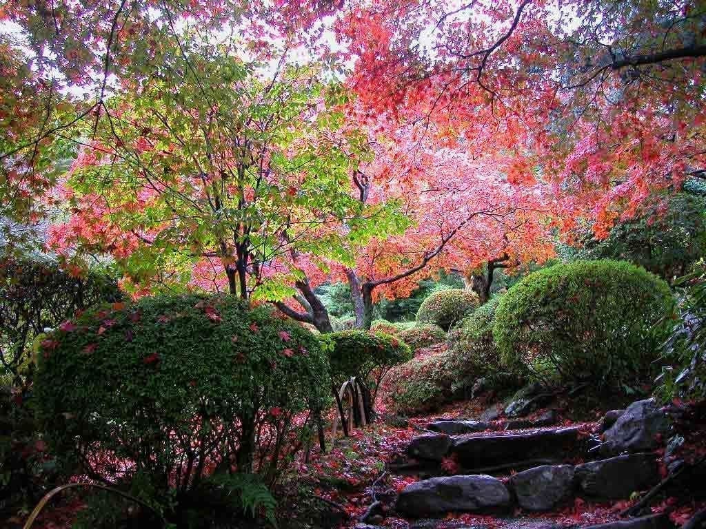 Tag en slentretur rundt i den japanske have