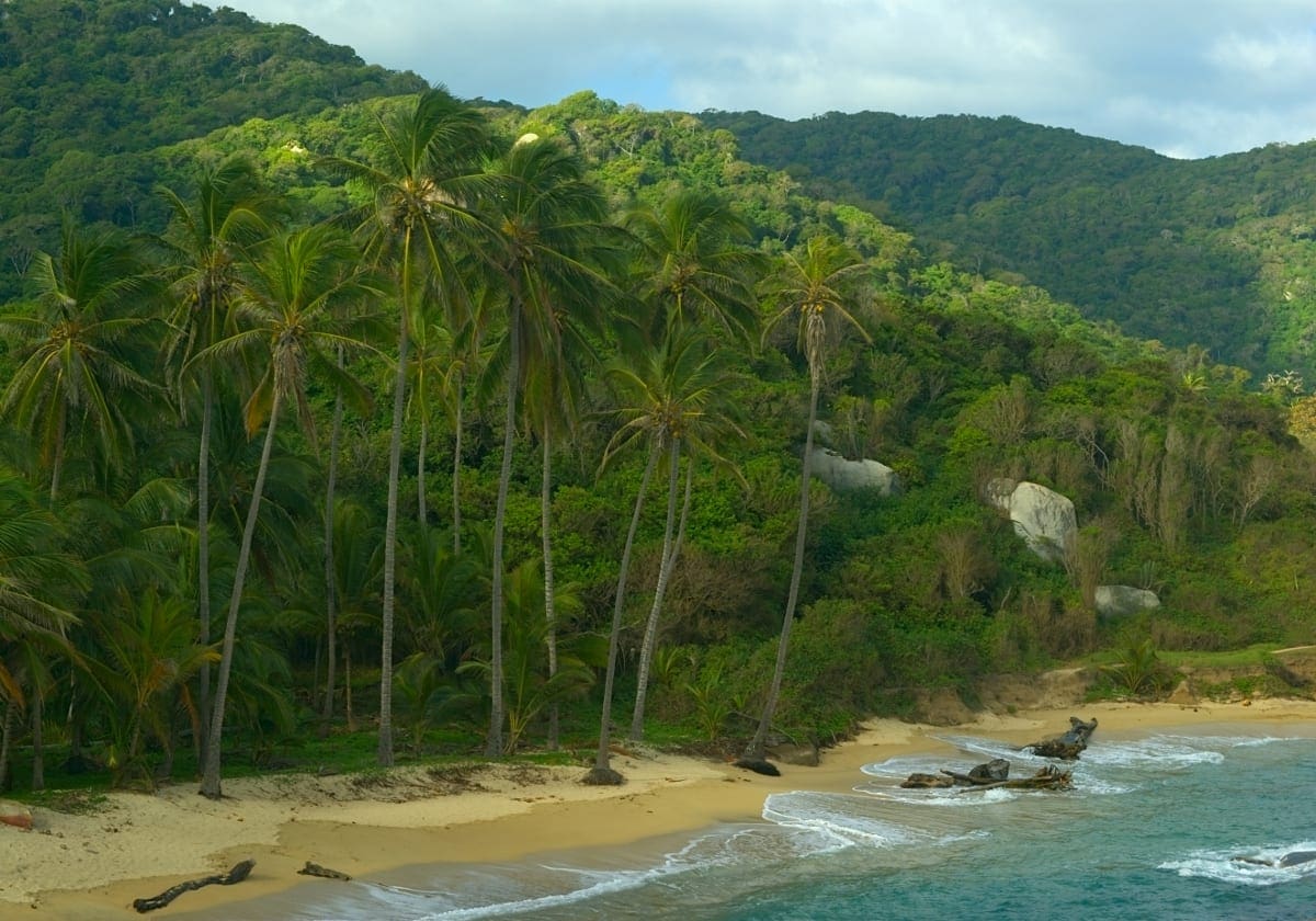 Jungle og strand mÃ¸des i Tayrona