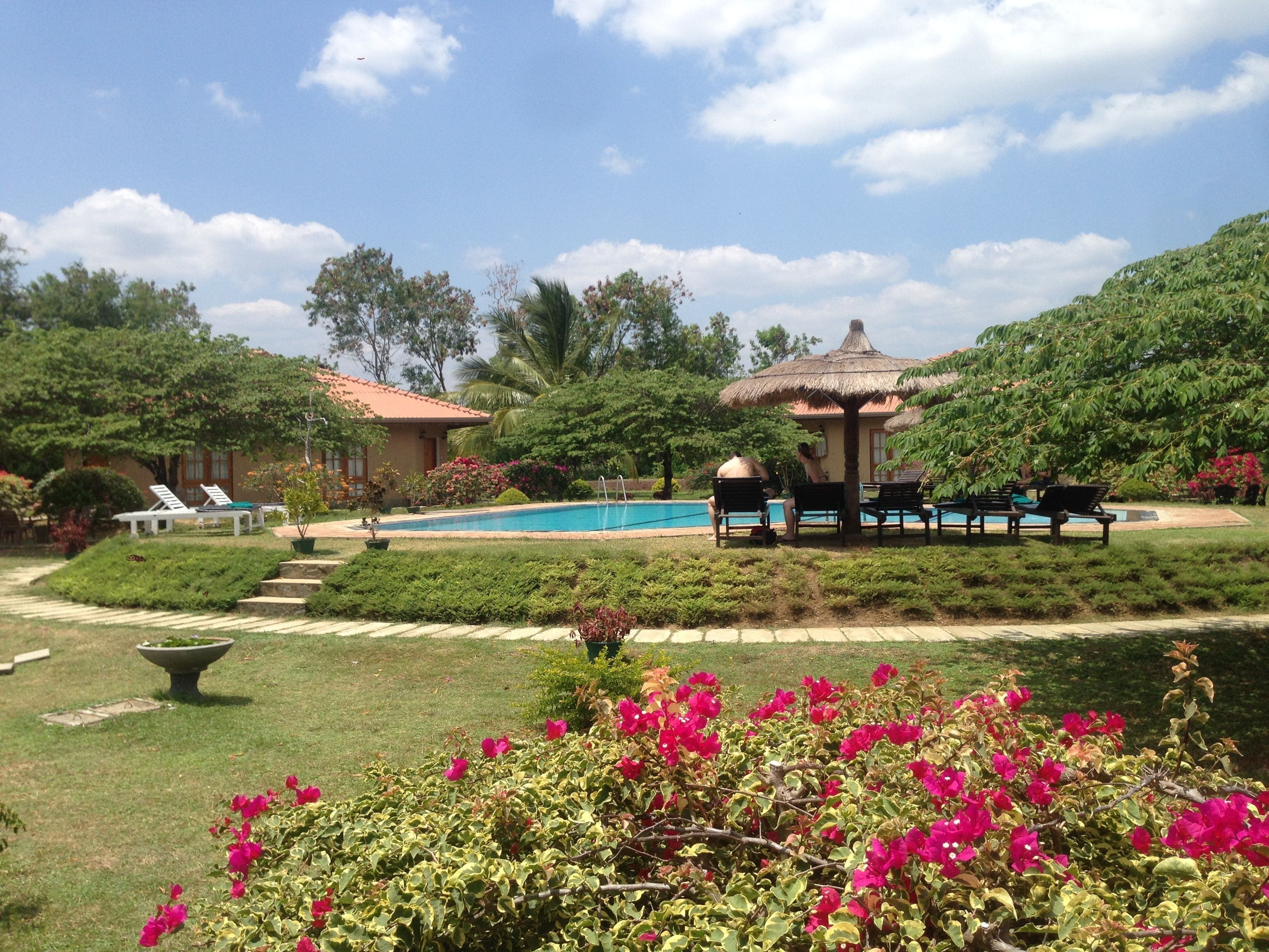 Rejser til Sri Lanka - Hibiscus Garden Hotel